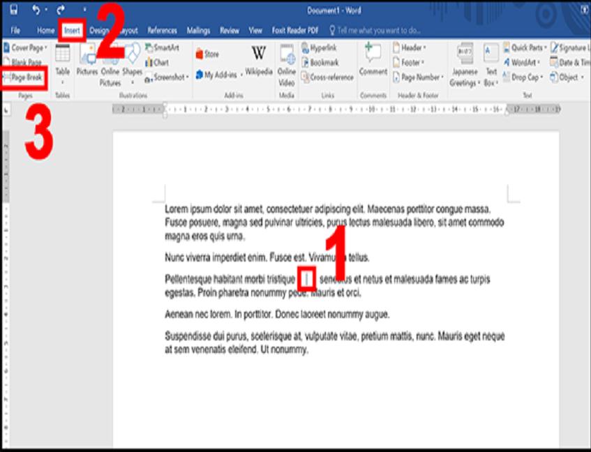 Hướng dẫn thêm trang trắng vào word với Page Break